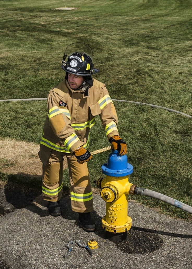 LION_Express_gold_action_hydrant_393-1-1